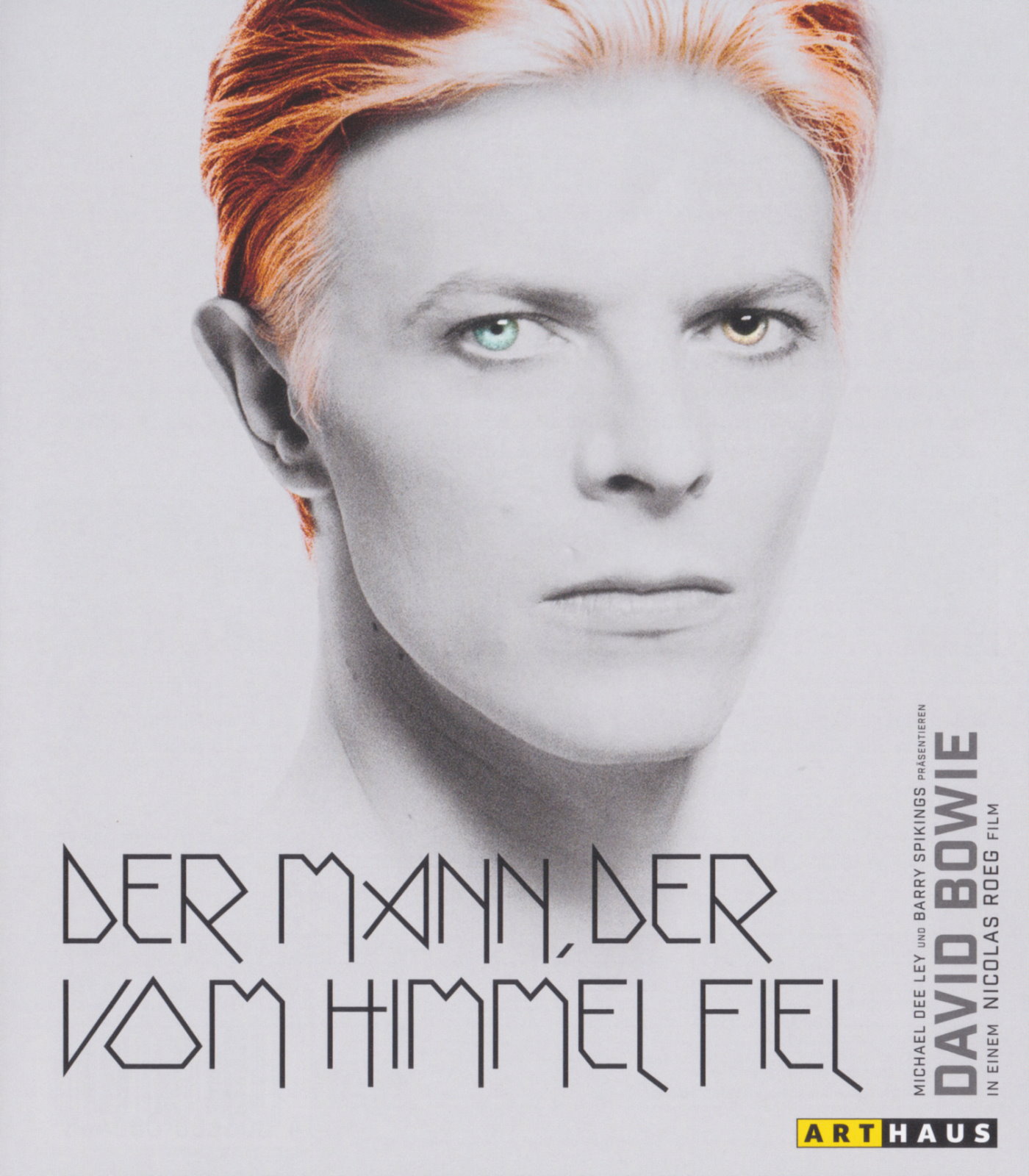 Cover - Der Mann, der vom Himmel fiel.jpg