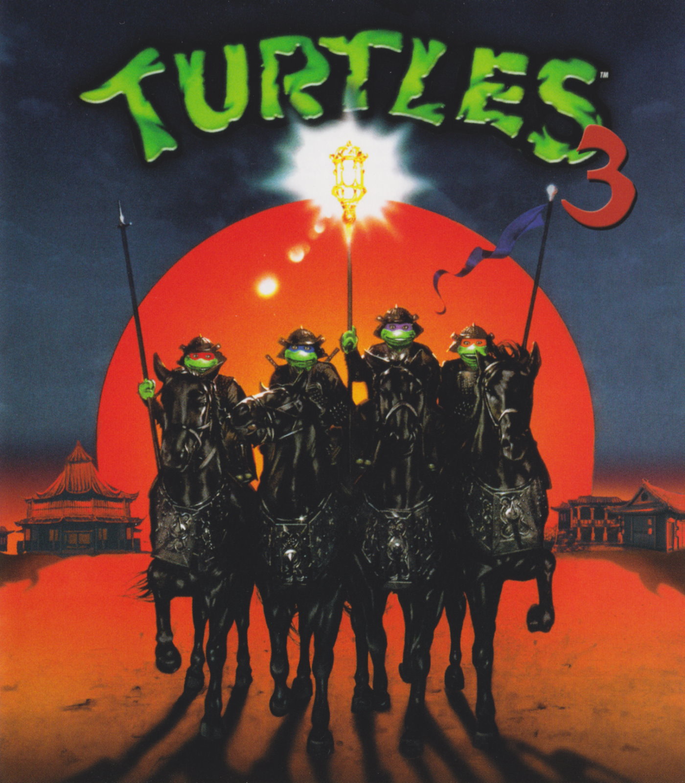 Cover - Turtles III.jpg