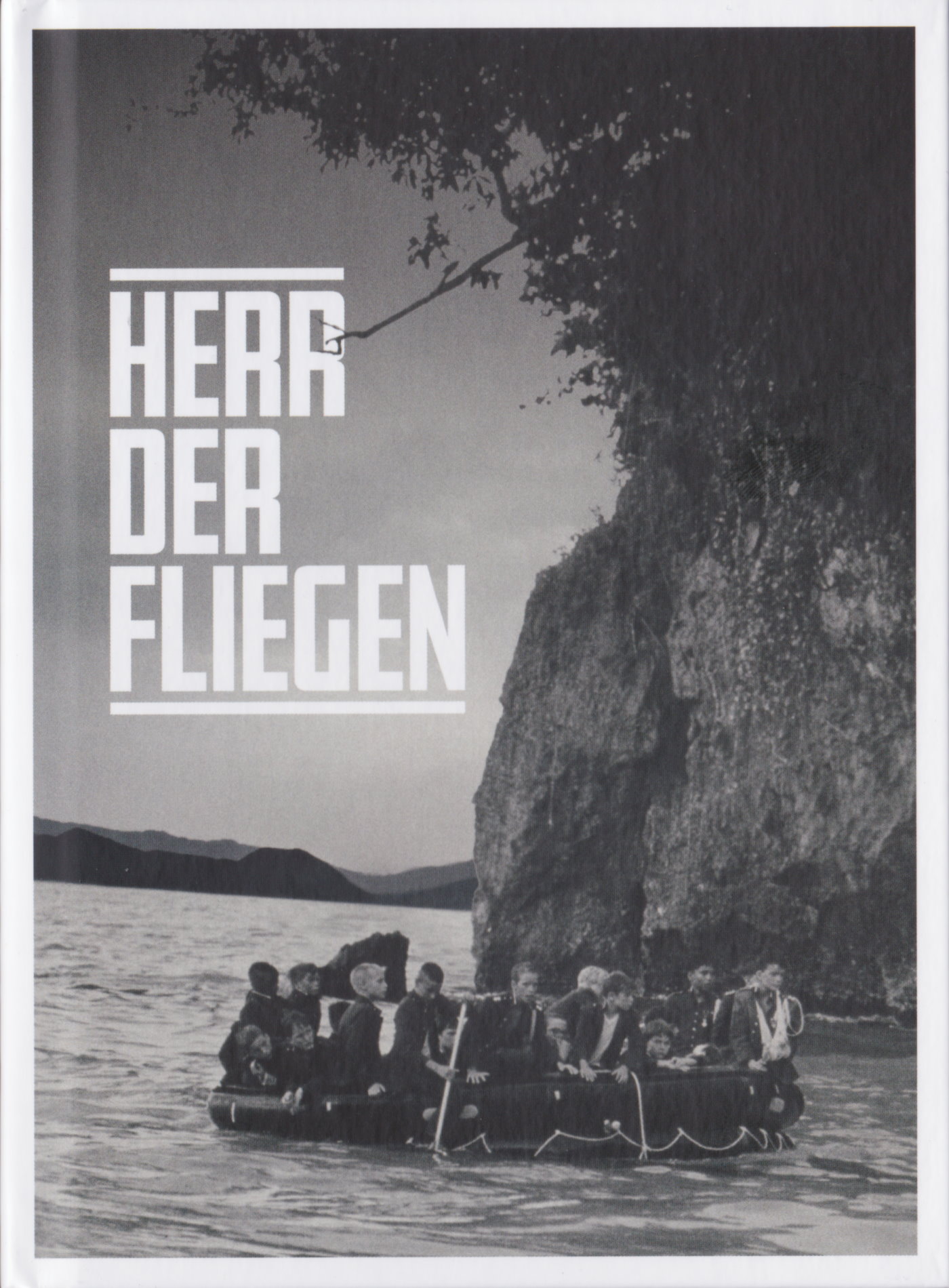 Cover - Herr der Fliegen.jpg